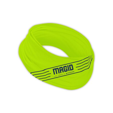 Magid